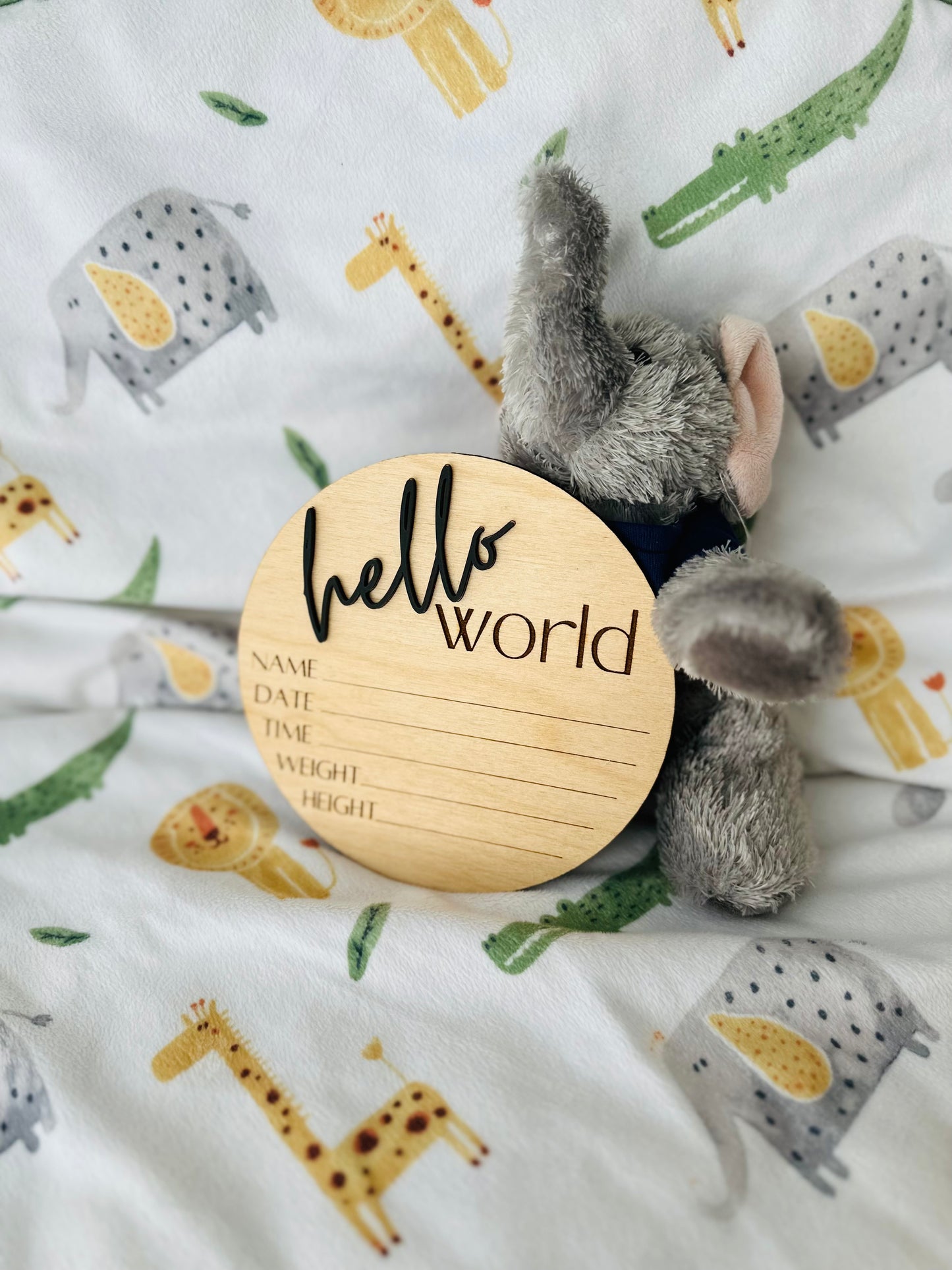 Baby Announcement Sign